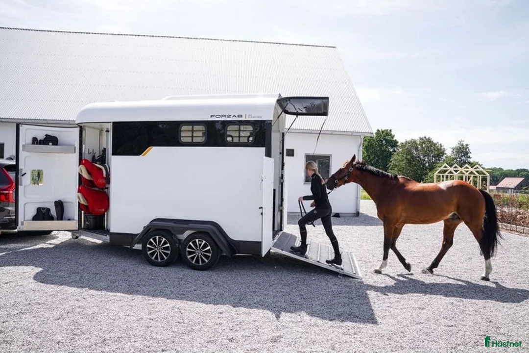 Hästtransporter  fordon & transport till salu: Falsterbo erbjudande Forzab EQ2 - Annons 9