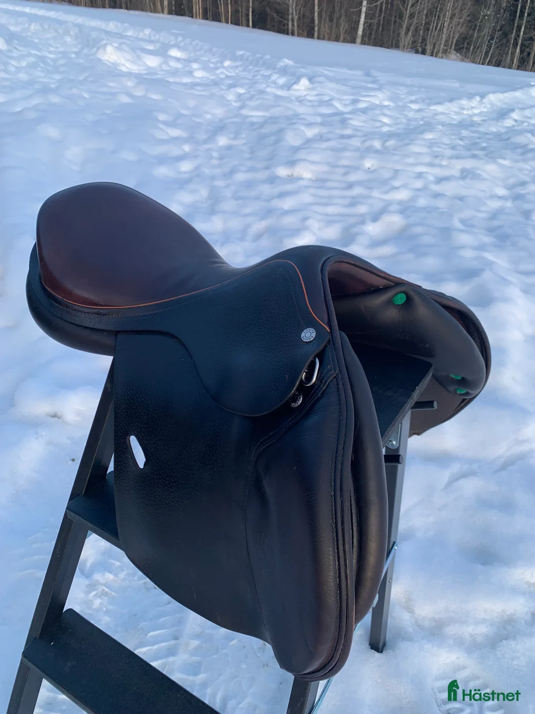 Sadlar hästutrustning till salu: Equipe Expression 15,5 tum i Falun - Annons 5
