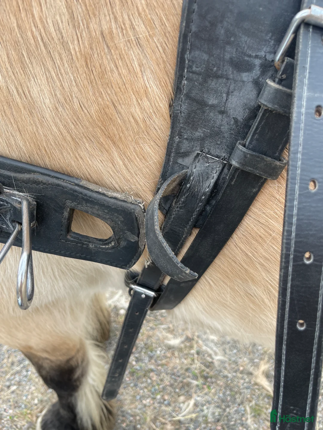 Körselar körning till salu: Körsele - Annons 3