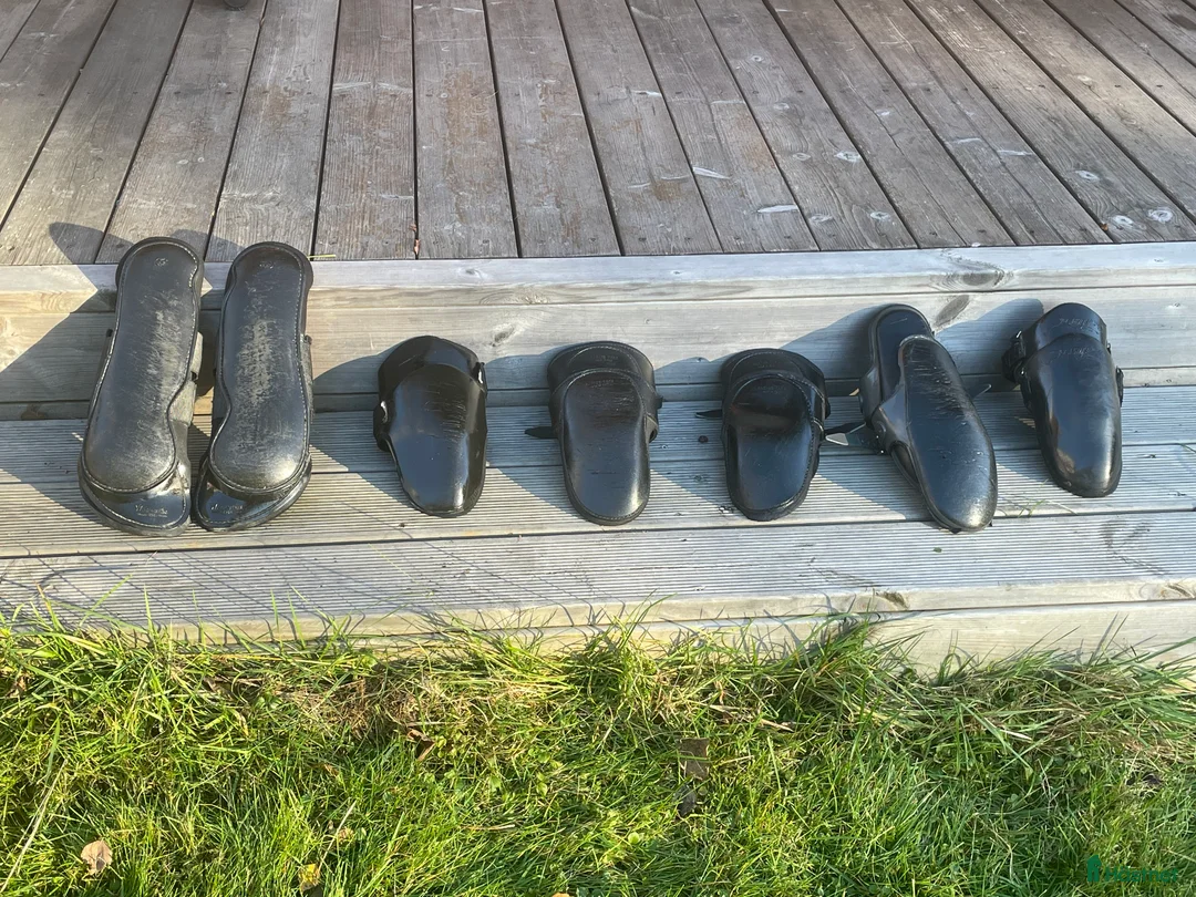 Övrig Travutrustning trav till salu: Knä och bakskydd  i Skattkärr - Annons 2