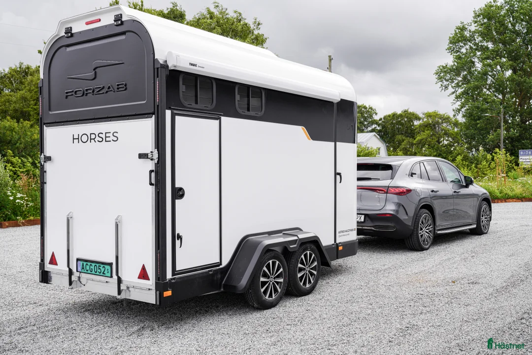 Hästtransporter  fordon & transport till salu: Forzab EQ 3 Reverse i Harestad - Annons 5