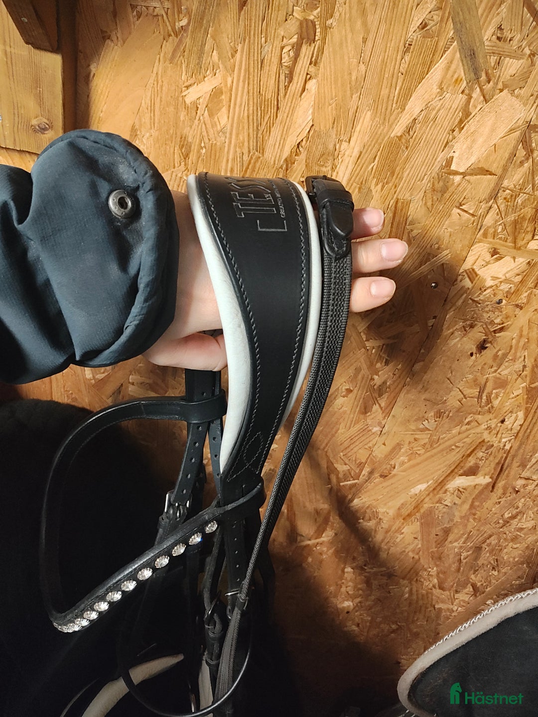 Träns hästutrustning till salu: Dressyrträns  i Växjö - Bild 4