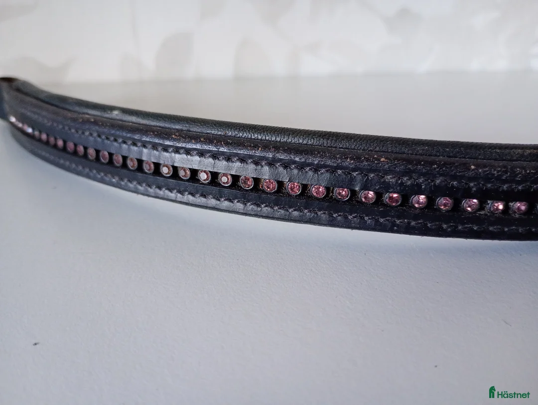 Övrig Hästutrustning hästutrustning till salu: Pannband  - Annons 1