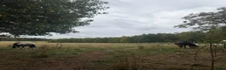  stallplats finnes: 1 Boxplats uthyres i Söderbärke - Annons 8