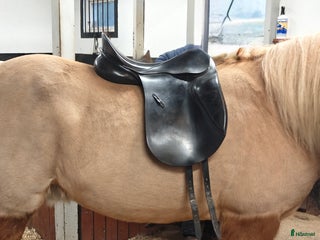 Sadlar hästutrustning till salu: Passier Hannover dressyrsadel i Eslöv - Annons 3