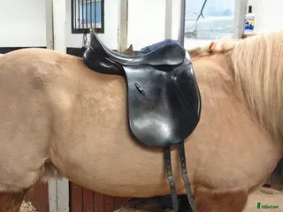 Sadlar hästutrustning Passier Hannover dressyrsadel i Eslöv - Annons 10