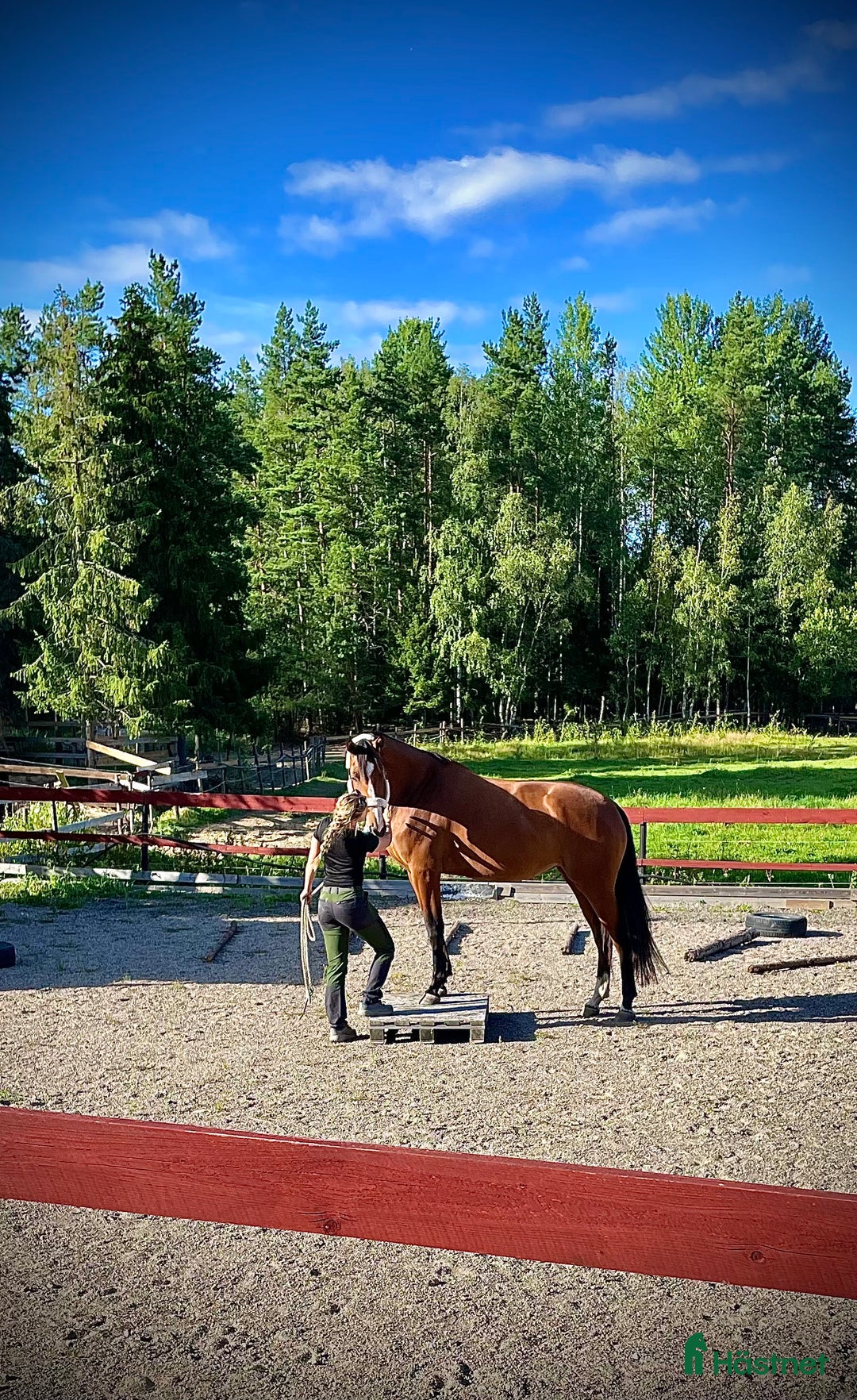  stallplats finnes: Boxplats finns utanför Mariefred  i Mariefred - Annons 2