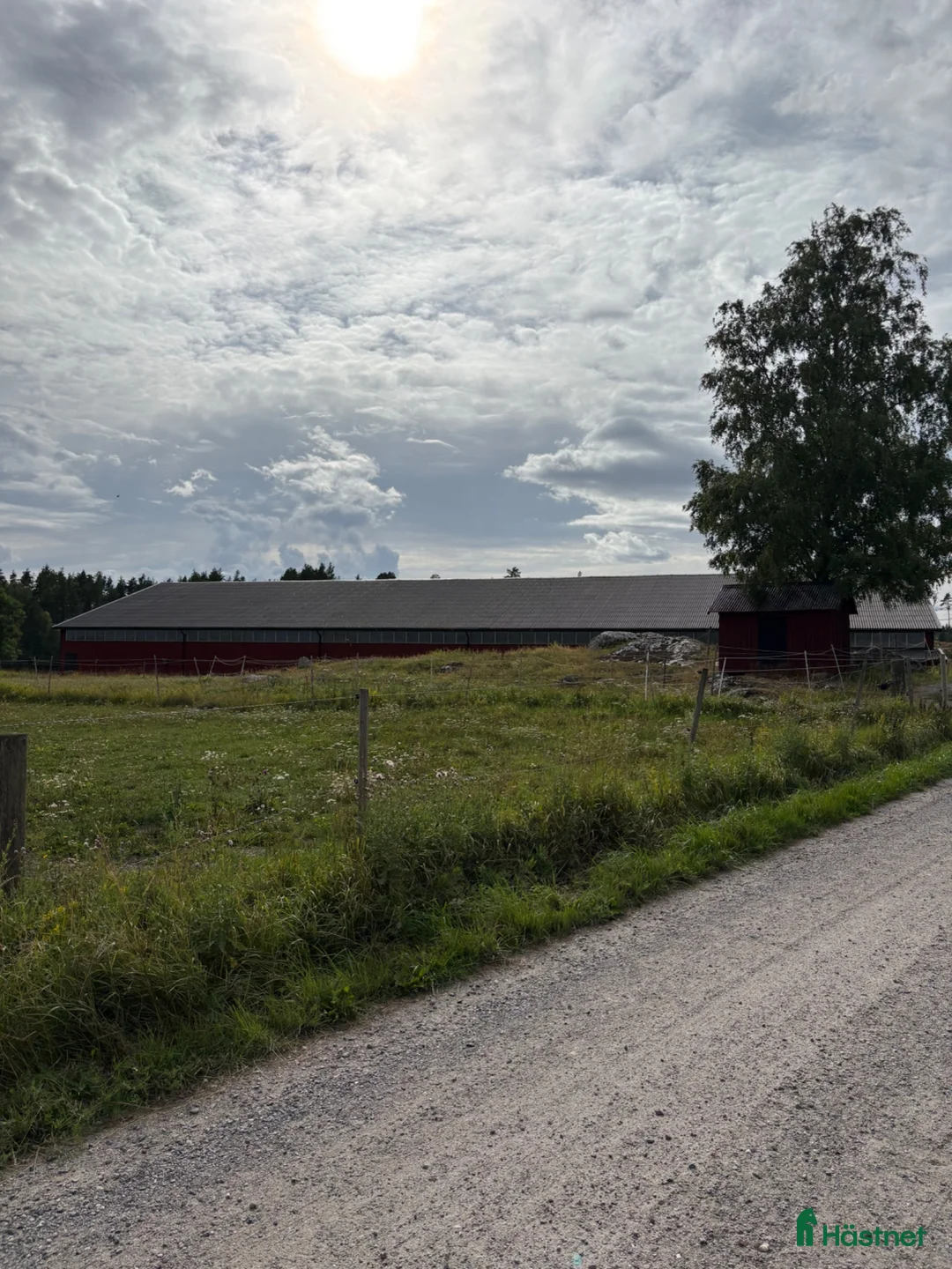  stallplats finnes: Ledig plats i familjärt stall med extra allt.  - Annons 14