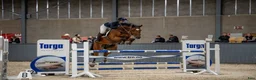 Hoppning hästar till salu: Spennende 6års spranghest i Skjeberg - Annons 4