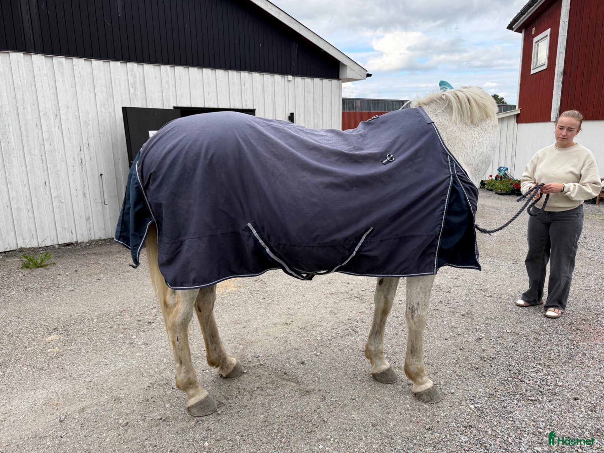 Täcken hästutrustning till salu: Blandade täcken 135 (6st) - Annons 7