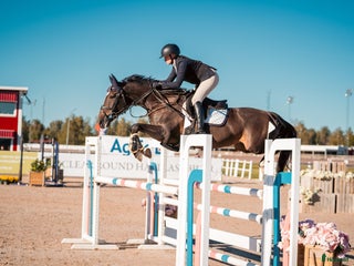 hästar Tuff tjej i lyxförpackning i Rimforsa - Annons 4