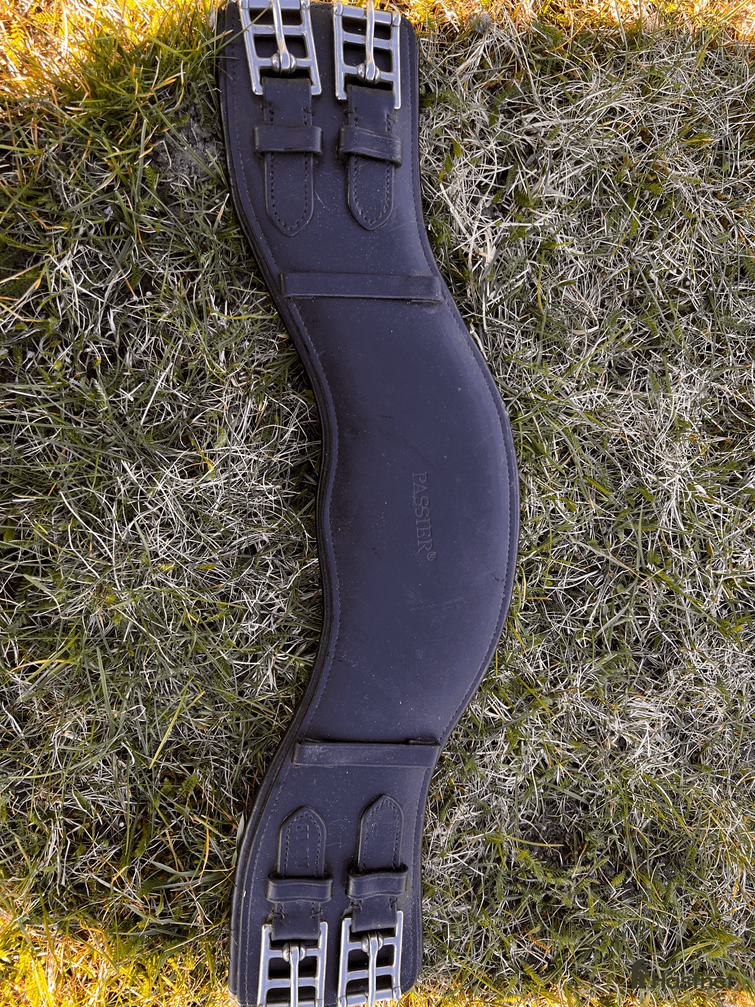 Sadeltillbehör hästutrustning Passier Dressyrgjord - Annons 2