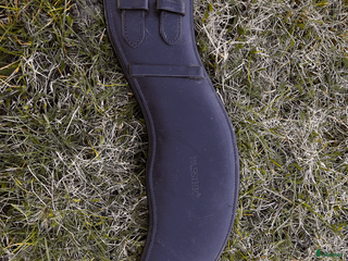 Sadeltillbehör hästutrustning Passier Dressyrgjord - Annons 2