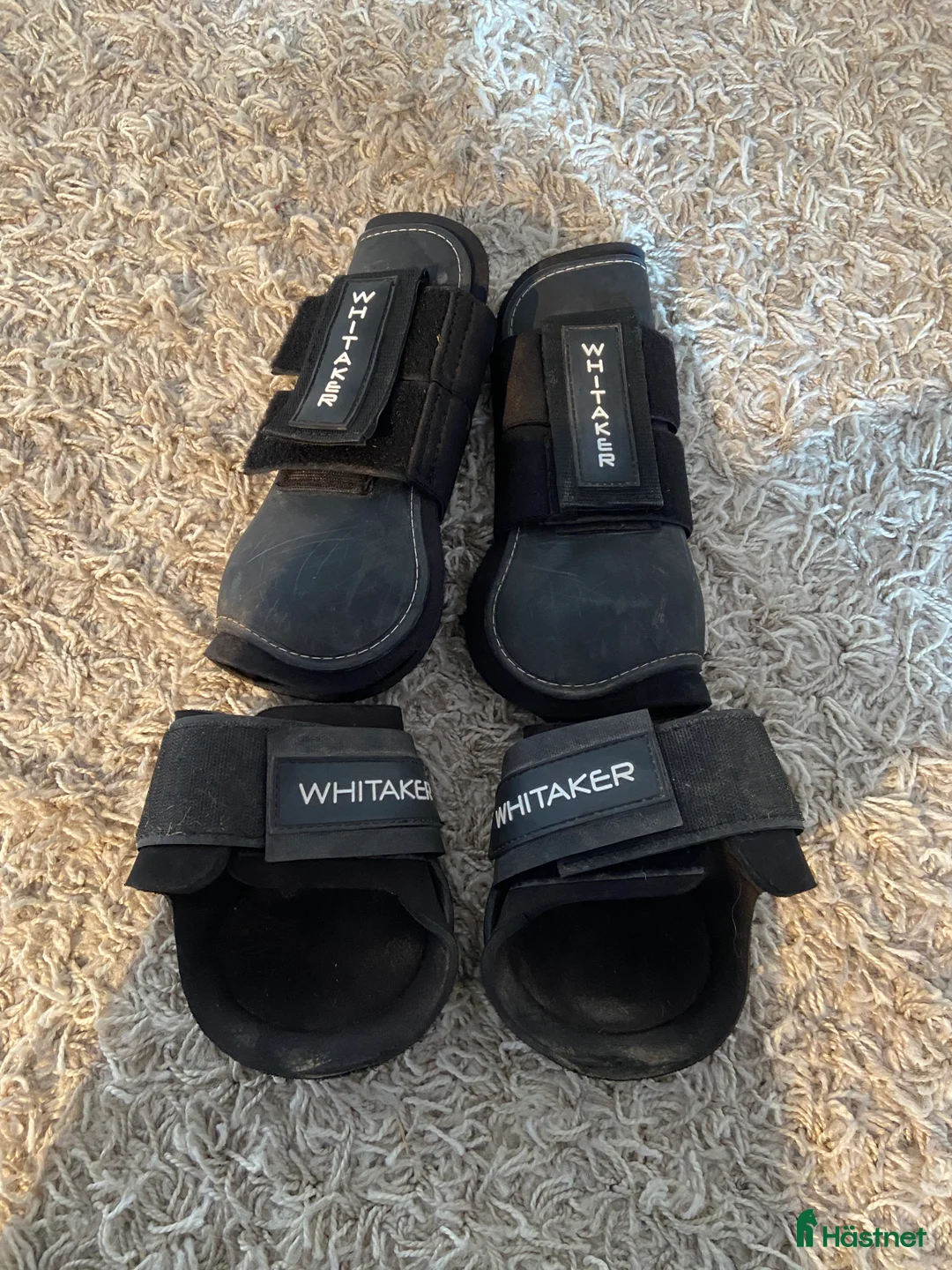 Benskydd hästutrustning till salu: Benskydd John Whitaker  - Annons 1