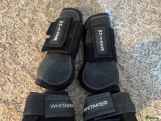 Benskydd hästutrustning till salu: Benskydd John Whitaker - Annons 2