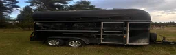 Hästtransporter  fordon & transport till salu: Boj Classic SEH - Annons 5