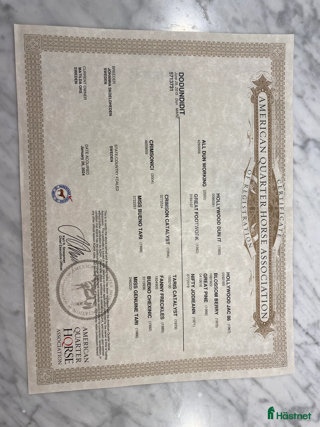 Western hästar till salu: Avelssto säljes i Mora - Annons 6