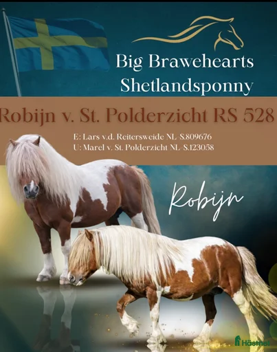 Galleribild {{count}}