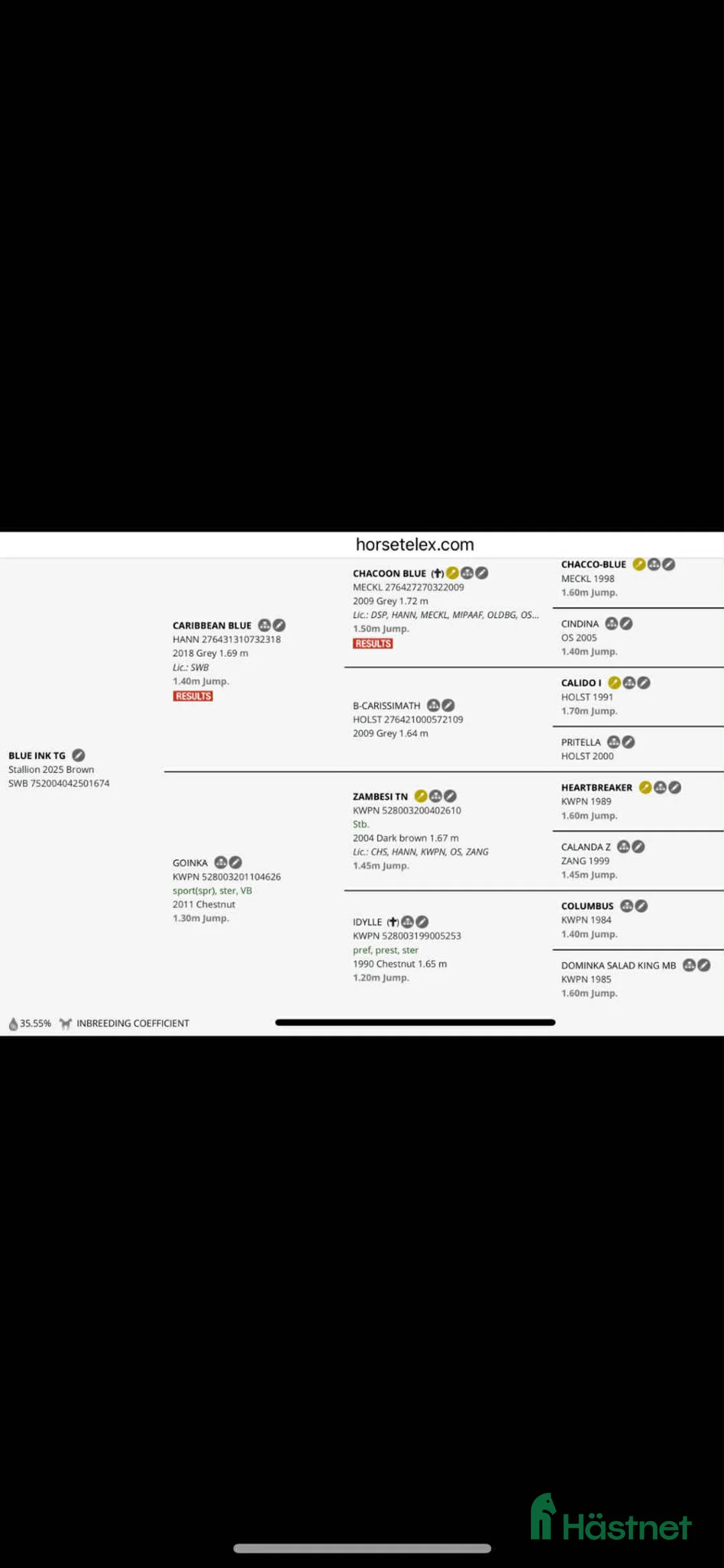 Hoppning hästar till salu: Ett föl för framtiden  i Ambjörnarp - Annons 3