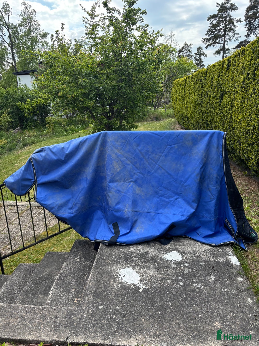 Täcken hästutrustning till salu: Horsewear utetäcken 160 cm - Annons 2