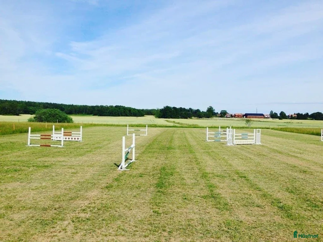  stallplats finnes: Fullservice alla dagar året om - Annons 15