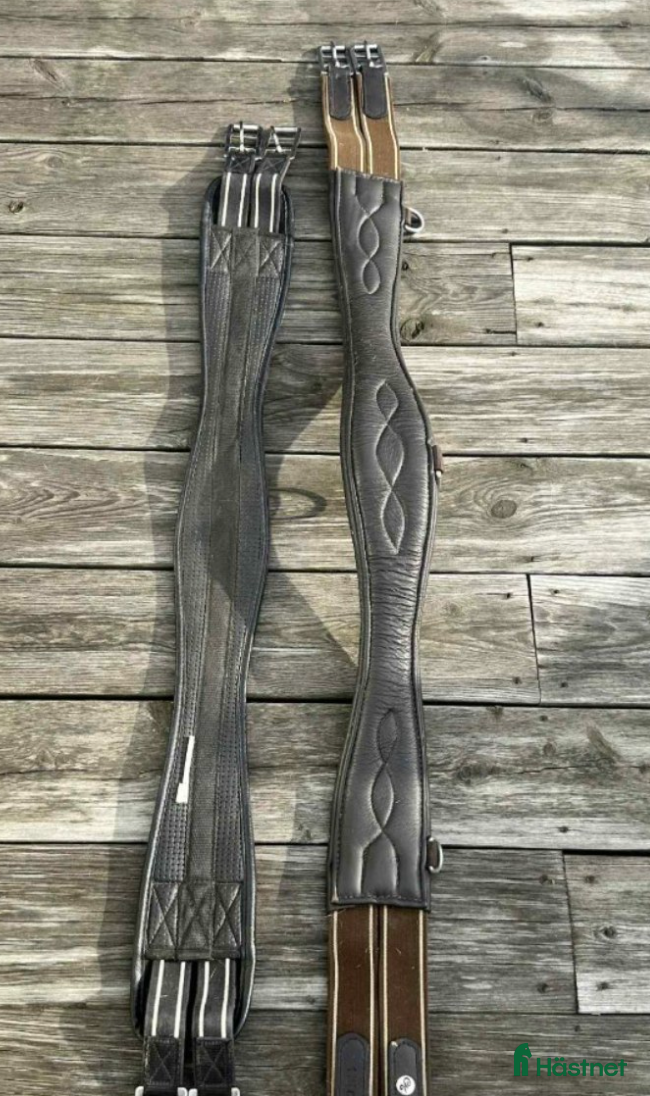 Sadeltillbehör hästutrustning till salu: Sadelgjordar 100 och 115 i Söderköping - Annons 21