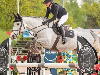 hästar Unghäst för större klasser - Annons 18