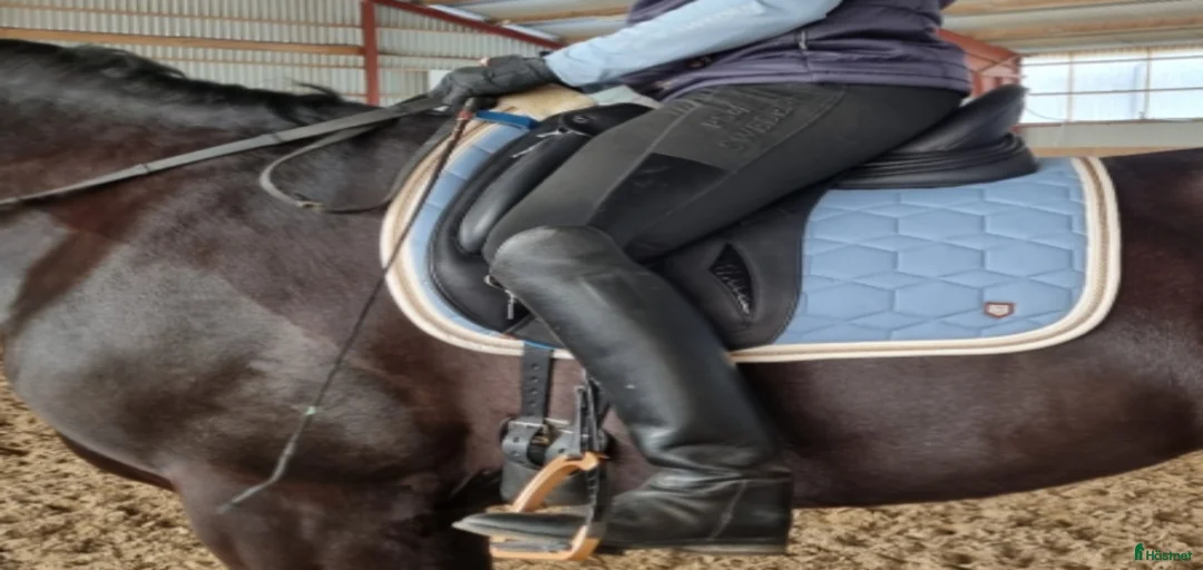 Galleribild {{count}}