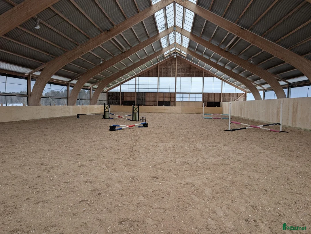  stallplats finnes: Lösdrift med fullservice - Annons 5