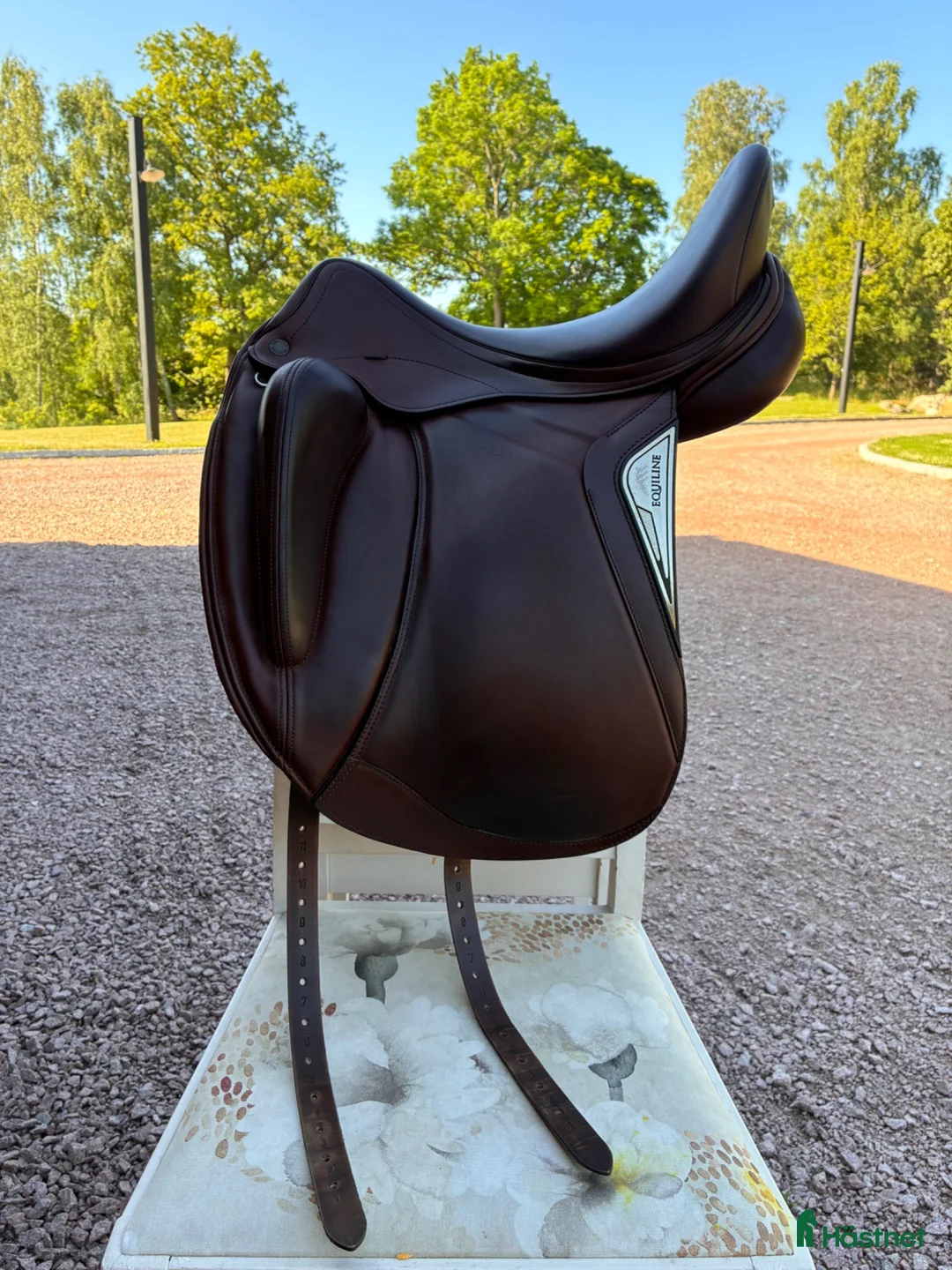 Sadlar hästutrustning till salu: Equiline Alissum - Annons 2