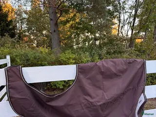 Täcken hästutrustning Amigo Competition sheet S - Annons 18