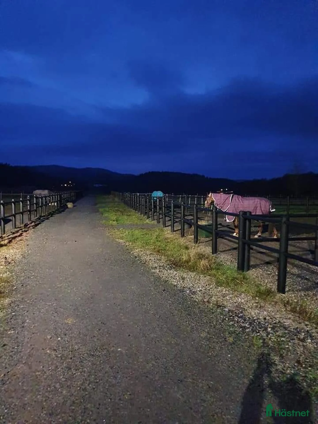  stallplats finnes: Ledig boxplats på fin anläggning i Uddevalla. i Uddevalla - Annons 8