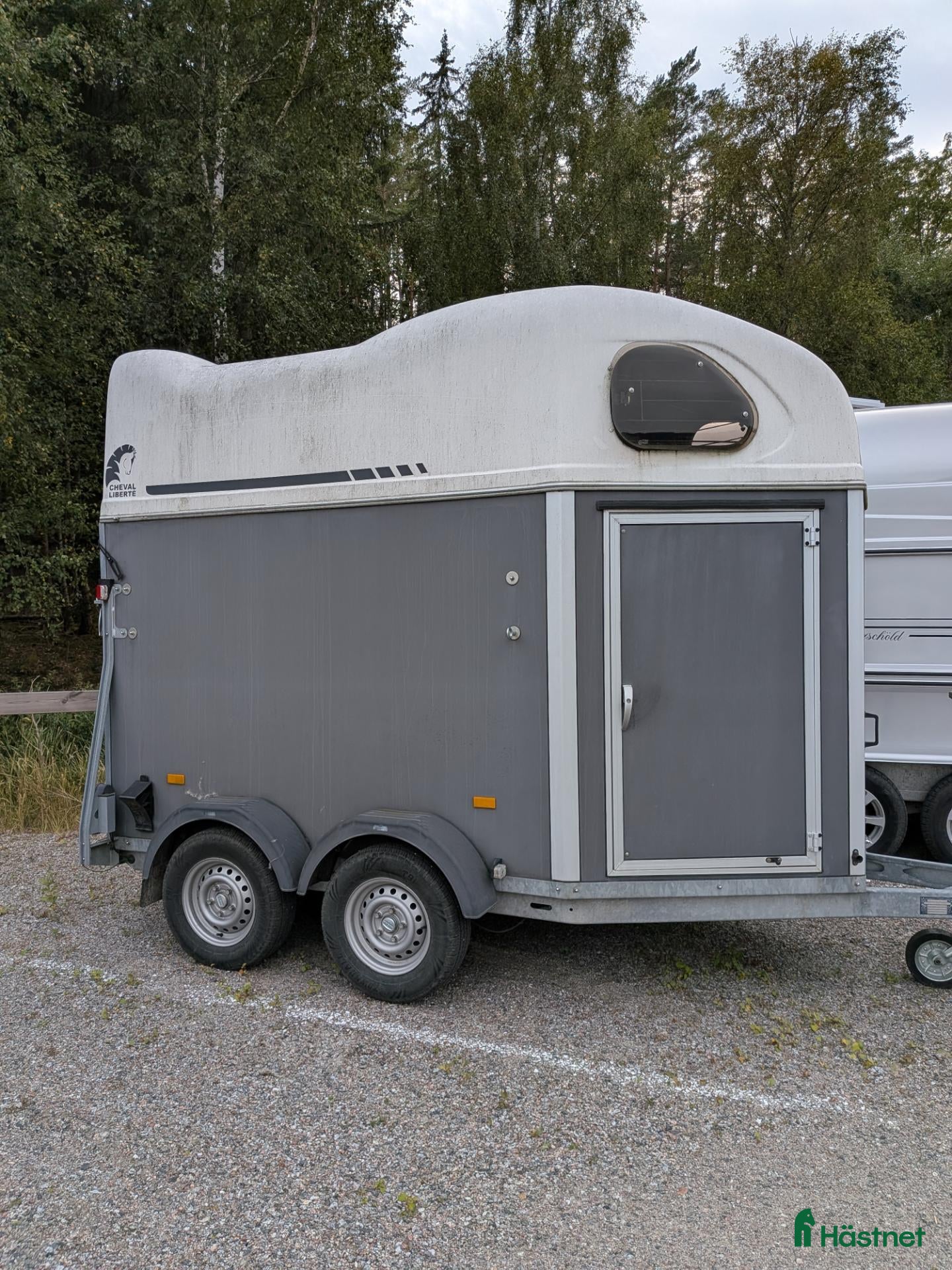 Hästtransporter  fordon & transport till salu: Cheval Liberte Gold  - Annons 2