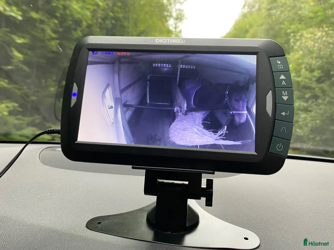 Hästtransporter  fordon & transport till salu: Rymlig transport  - Annons 2