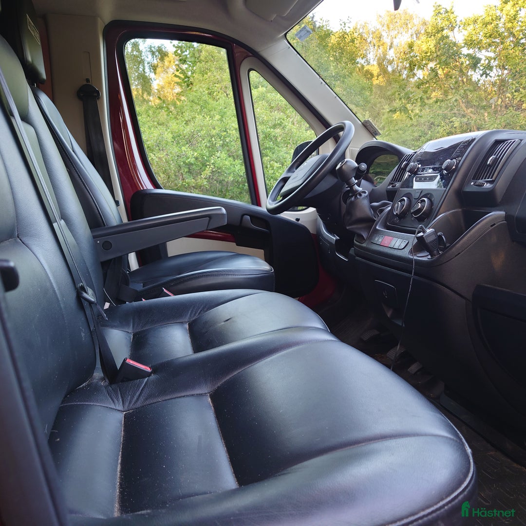 Hästlastbilar  fordon & transport till salu: Peugeot Equi-Trek 2018 i Borgholm - Bild 6