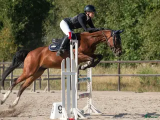 hästar Lyxig pigg hopp ponny i Falun - Annons 10