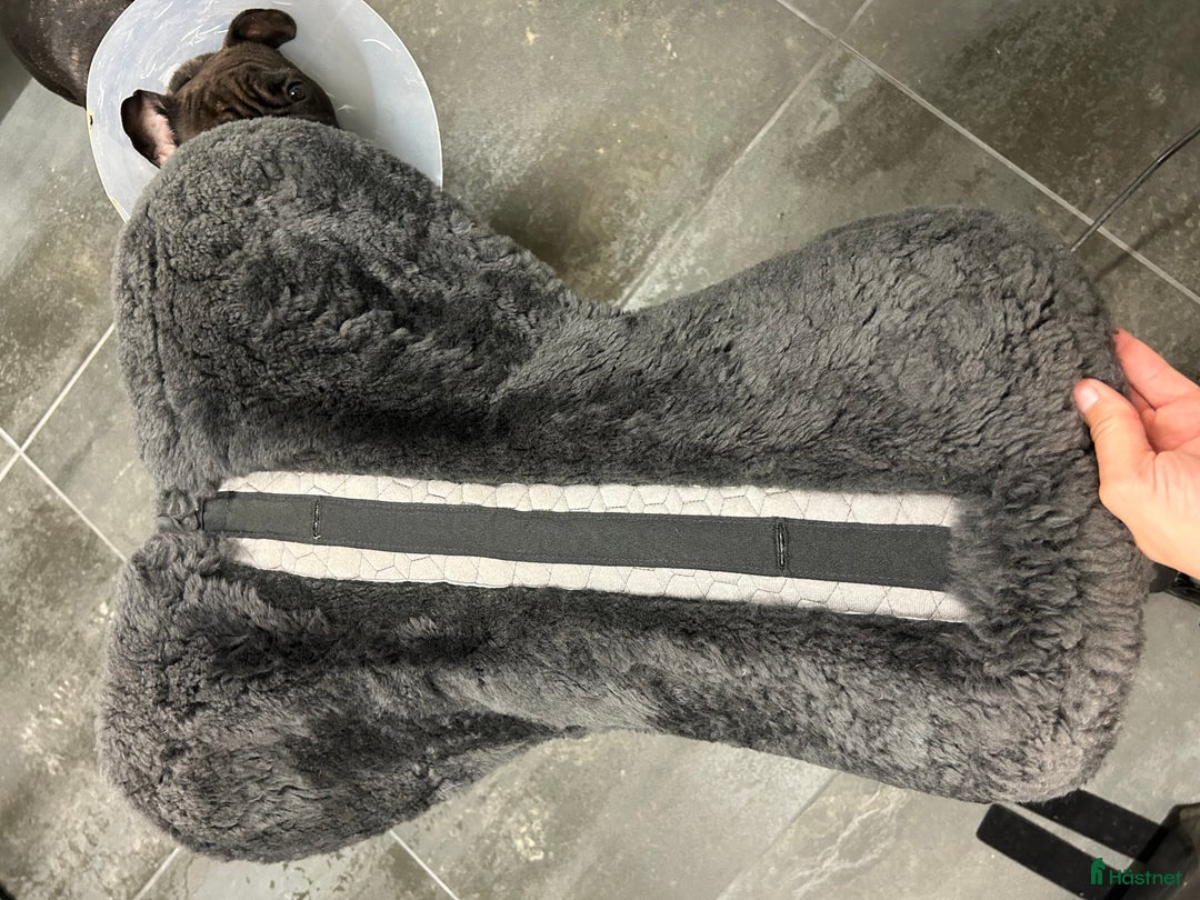 Sadeltillbehör hästutrustning till salu: Korrektionspadd Mattes i Dösjebro - Annons 4