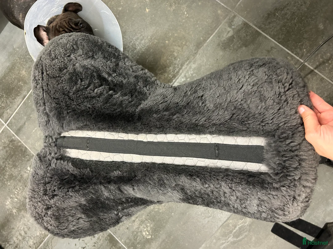 Sadeltillbehör hästutrustning till salu: Korrektionspadd Mattes i Dösjebro - Annons 4