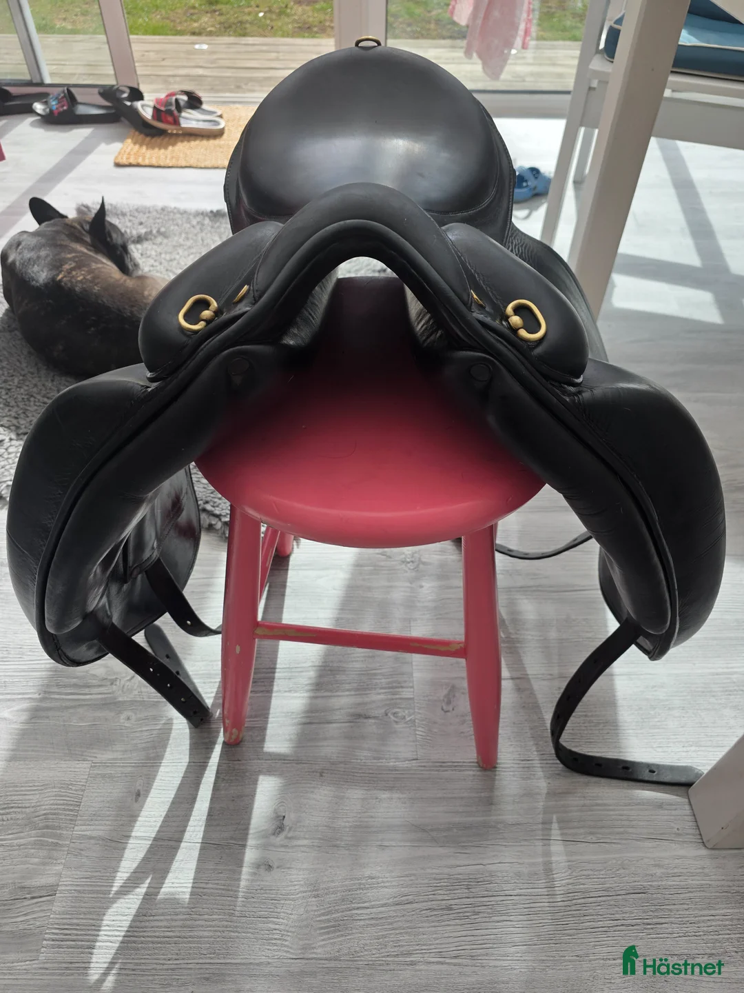 Sadlar hästutrustning till salu: Top reiter islandsadel i Blentarp - Annons 2