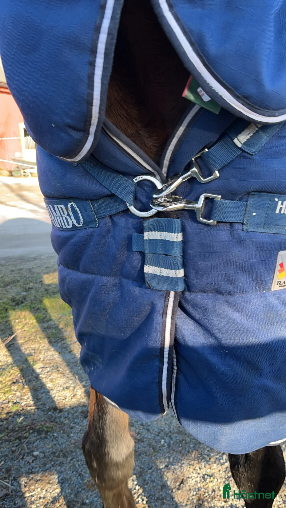 Täcken hästutrustning till salu: Rambo Horsewear stalltäcke i Värmdö - Annons 5
