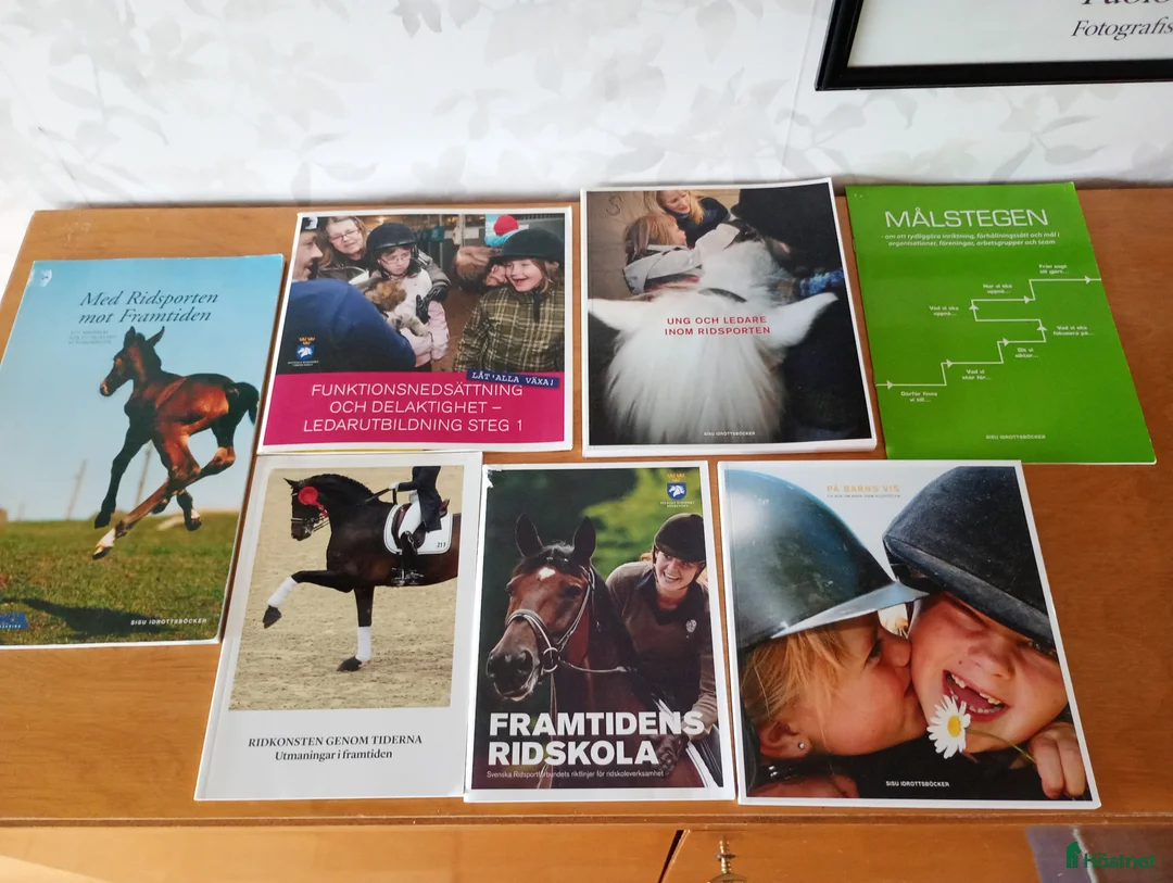 Övrig utrustning övrig utrustning till salu: Blandat med fakta böcker / häften  - Annons 1