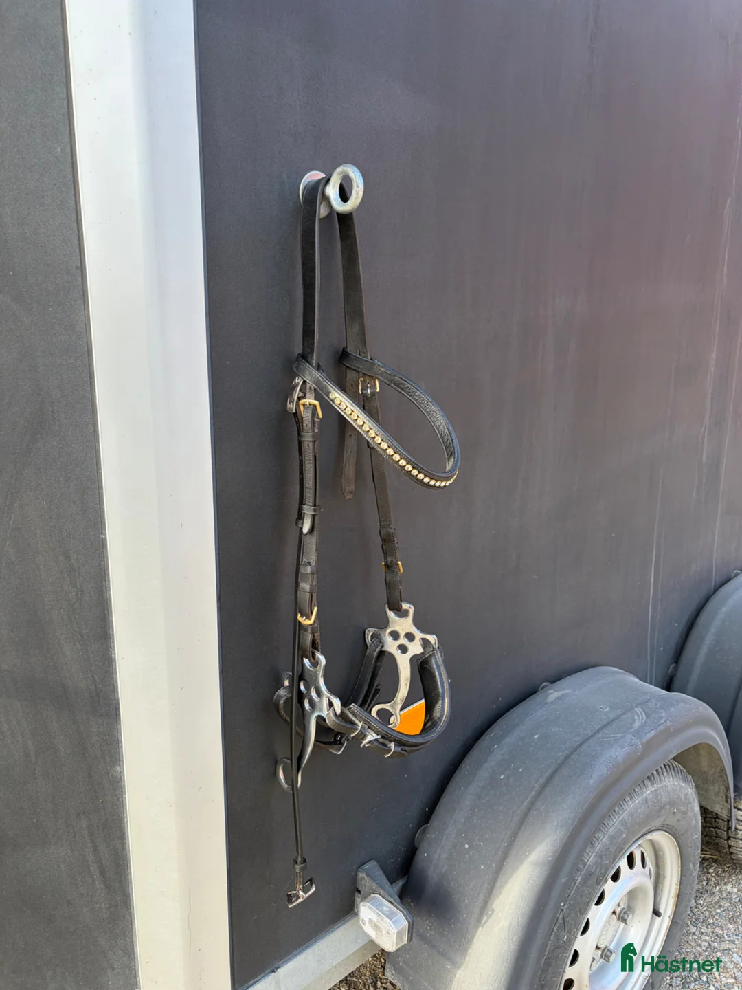 Träns hästutrustning till salu: Hackamore  - Annons 3