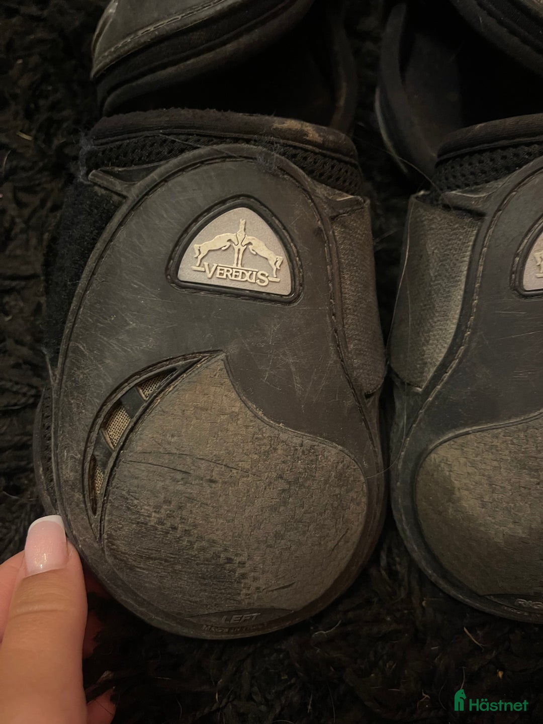 Benskydd hästutrustning till salu: Veredus bakskydd i Luleå - Annons 2