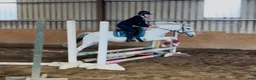 Hoppning hästar till salu: Super 138 pony - Annons 11