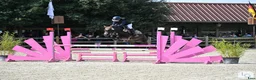 Övrigt hästar till salu: 138 Grand Prix C pony in France - Annons 6