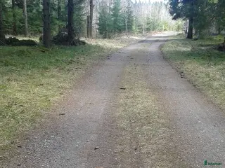 stallplats stallplats eller lösdrift - Annons 8