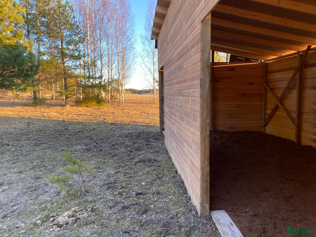  stallplats finnes: Lösdrift dräktiga ston/ungston/pensionär i Enköping - Annons 2