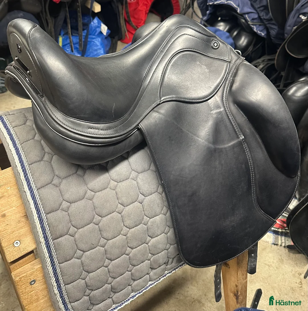 Sadlar hästutrustning till salu: Prestige Brillante fynd  i Sala - Annons 1
