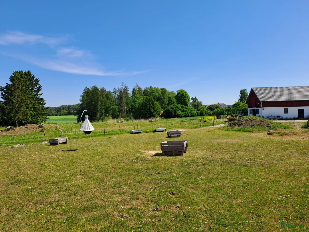  stallplats finnes: Kollektiv eller Service Adolfsbergs stallet i Bro - Annons 14