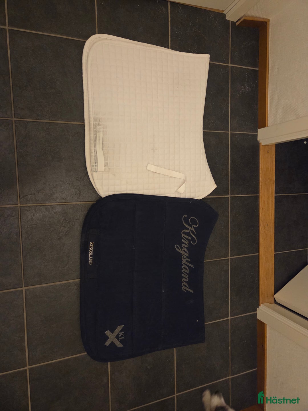 Schabrak & Vojlockar hästutrustning till salu: Dressyr & hoppschabrak i Boden - Annons 2